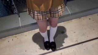雪上下的小白兔
